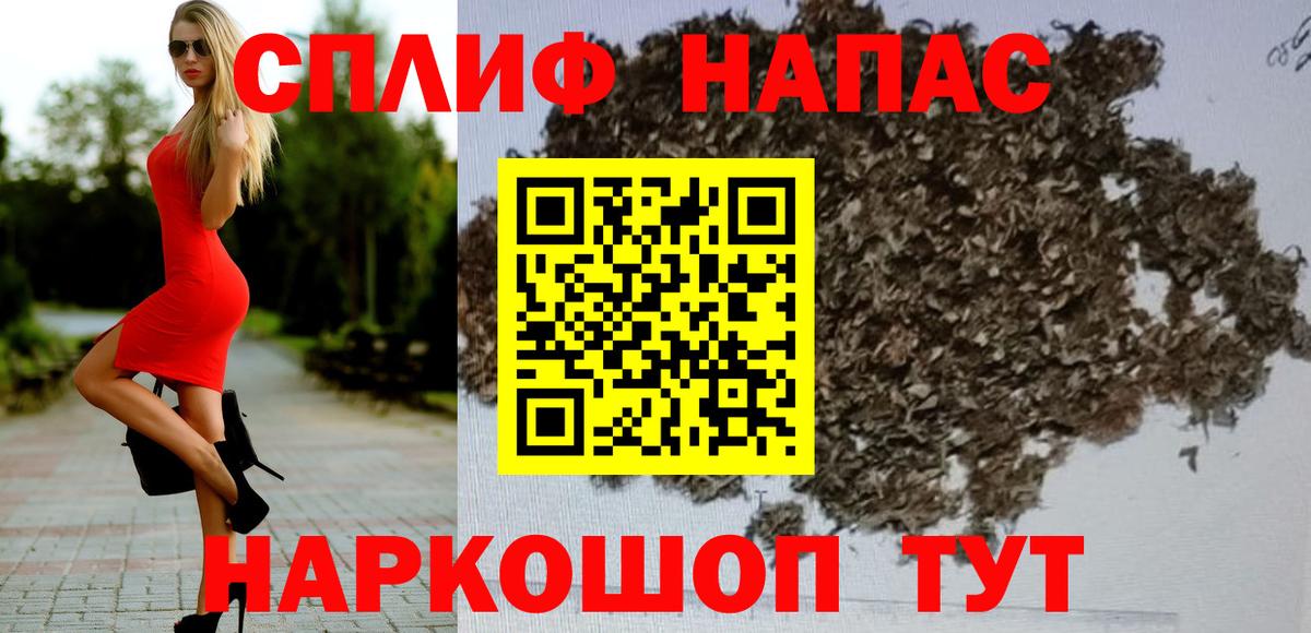 Марихуана конопля Пугачёв
